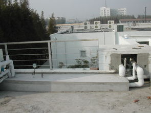 從夢(mèng)想別墅到現(xiàn)實(shí)陣痛 我的OBI建設(shè)之路與歪漆教訓(xùn)