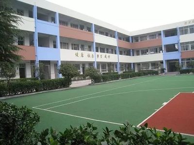 溫州三年新建擴建百余教育項目 優質資源加速布局新興板塊，繪就教育共富新圖景